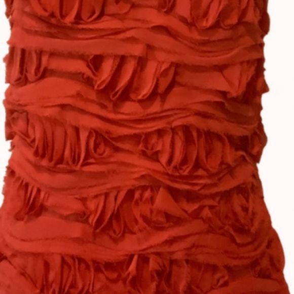 Cynthia Steffe Sleeveless Raw Textured Blouse Sz 4 - Picture 7 of 11